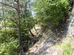 画像25